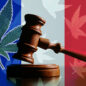 Les Français de l’étranger et la légalisation du cannabis
