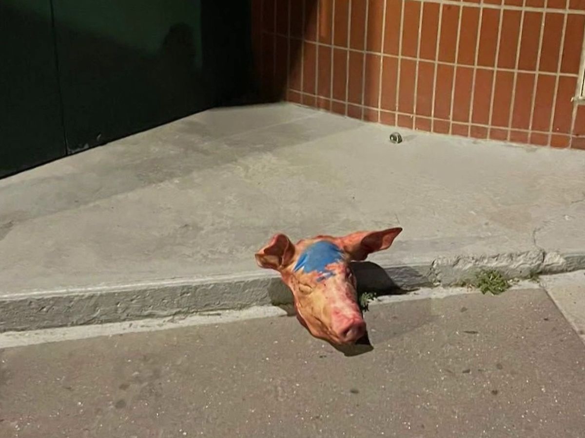 Tête de cochon déposée devant une mosquée à Montreuil (Seine-Saint-Denis) en septembre 2025 ©AFP