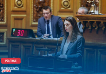 L’ASFE face aux défis actuels : interview de Sophie Briante Guillemont