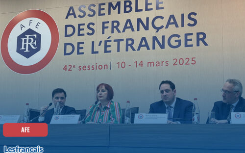 Bilan de la session plénière de l’AFE&nbsp;: quelles avancées pour les Français de l’étranger&nbsp;?