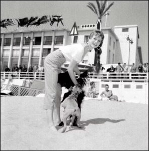 Brigitte Bardot joue avec un chien lors du festival de Cannes en mai 1955. ©UPI/AFP