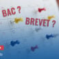 Les dates clés du baccalauréat et du brevet pour les Français de l’étranger