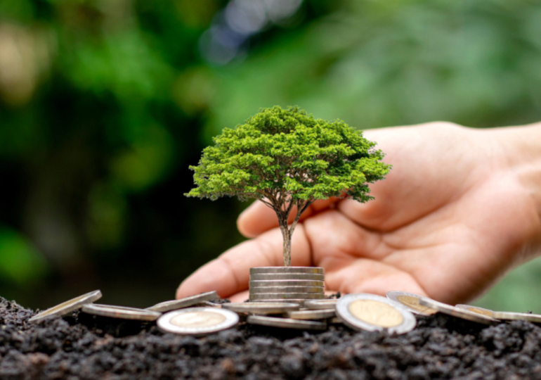 Comment financer la transition écologique ? 