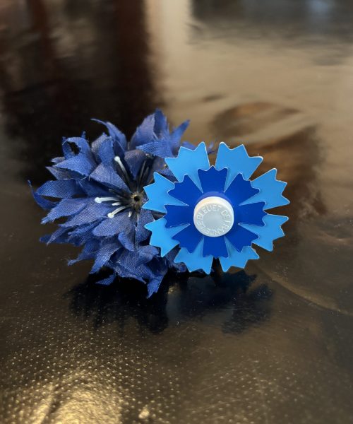Bleuet de France