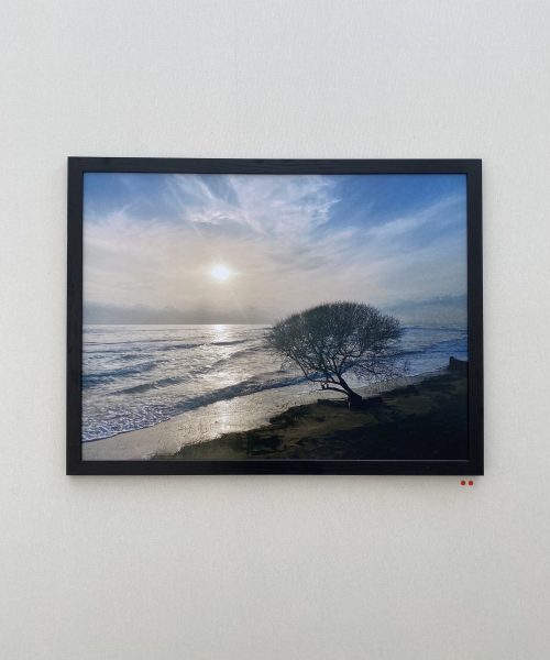 Exposition photo Les Rivages du monde