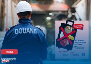 Fêtes de fin d’année : les règles douanières à connaître
