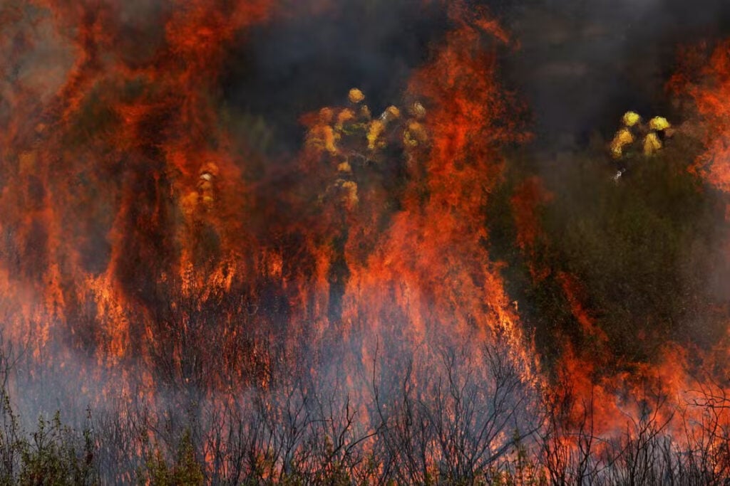 Feu forêts