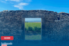 De New York à la Bourgogne, immersion au cœur des vendanges