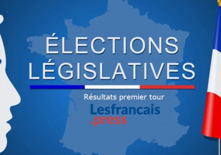 22 candidats pour les 11 circonscriptions des Français de l'étranger