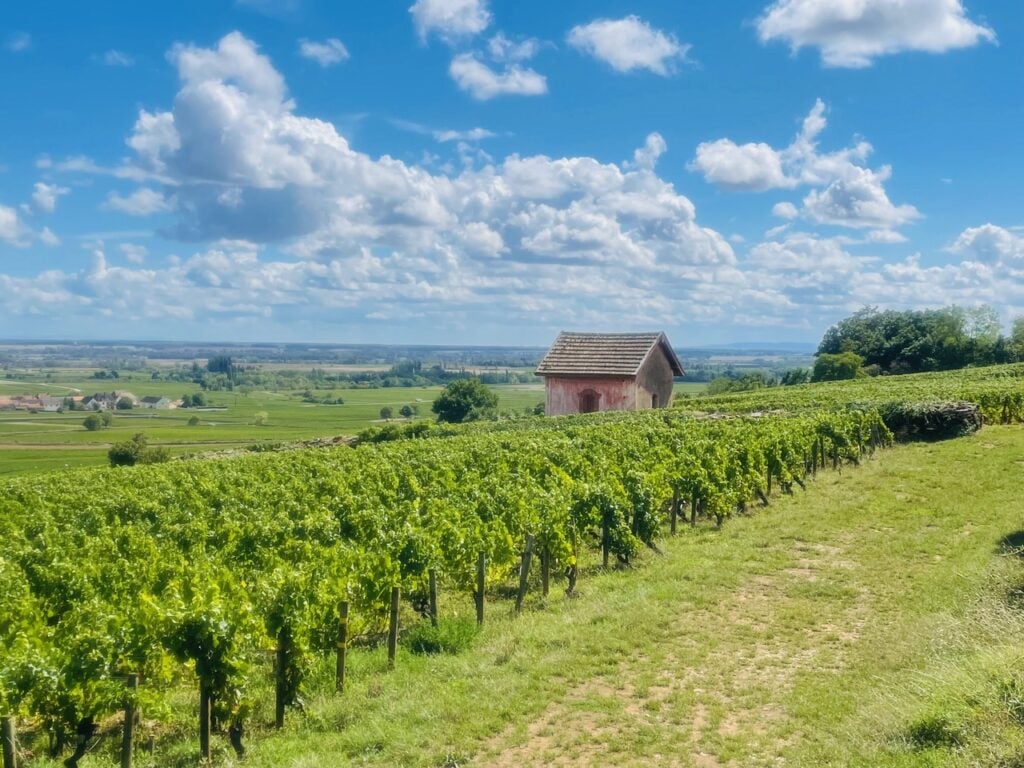 Ancienne maison de vignerons à Meursault