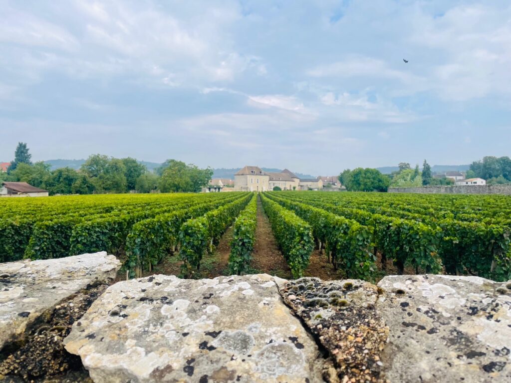 Meursault en Côte d'Or