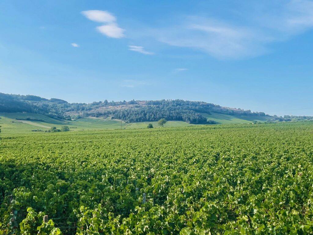 Meursault Les Tessons