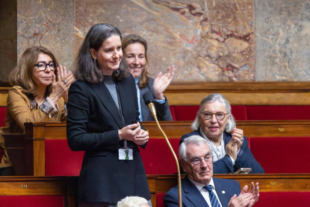 Nathalie Coggia dans l'h&eacute;micycle de l'Assembl&eacute;e nationale