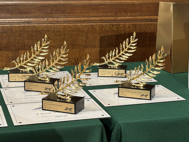 Les palmes EFE en route pour l'édition 2026