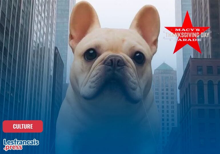 Parade de Thanksgiving à New York : le fantasme viral du bouledogue français