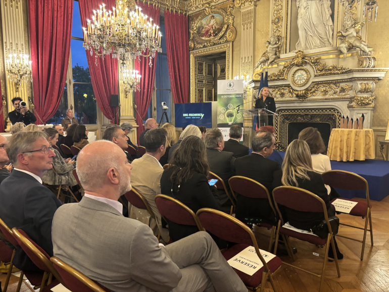 Patricia Connell, Présidente du prix du développement durable AFE