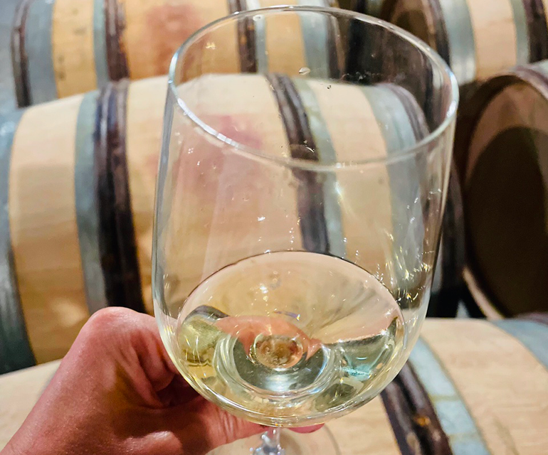 Paulée au Domaine Mikulski