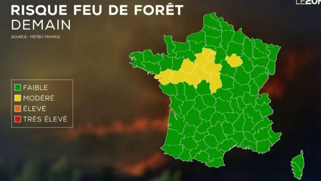 Voyage en France cet été ? Pensez à consulter la météo des forêts