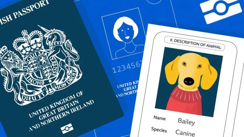 Passeport pour les animaux de compagnie