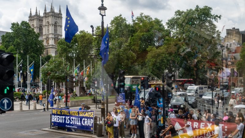 Des slogans pro-UE à une manifestation à Londres le 24 juillet 2024. ©Shutterstock/Rosemarie Besteller