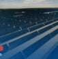 Le solaire aux États-Unis : plus fort que Trump !