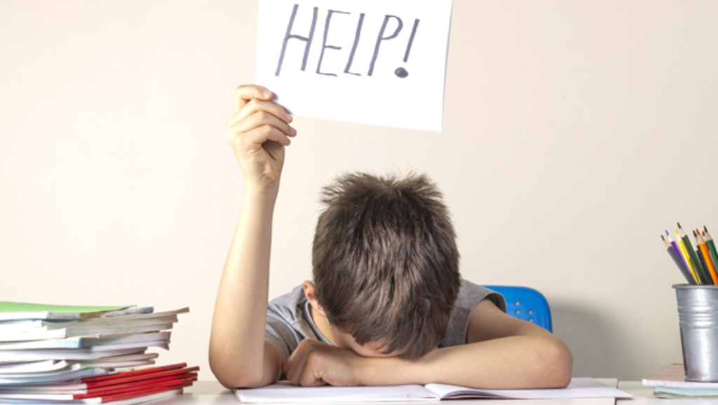 Soutien scolaire