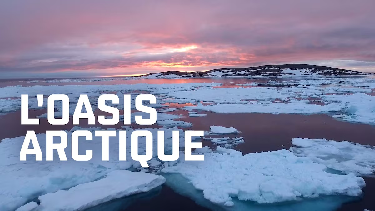 L'Oasis arctique