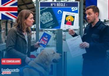 Voyager avec son animal entre le Royaume-Uni et la France : les nouvelles règles pour les Franco-Britanniques